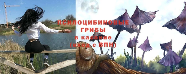 СК Абинск