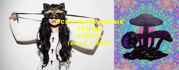 ECSTASY Абаза