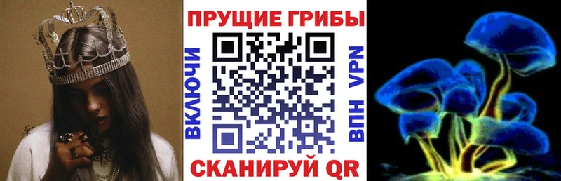blacksprut сайт  где можно купить наркотик  Сысерть  Псилоцибиновые грибы Psilocybine cubensis 