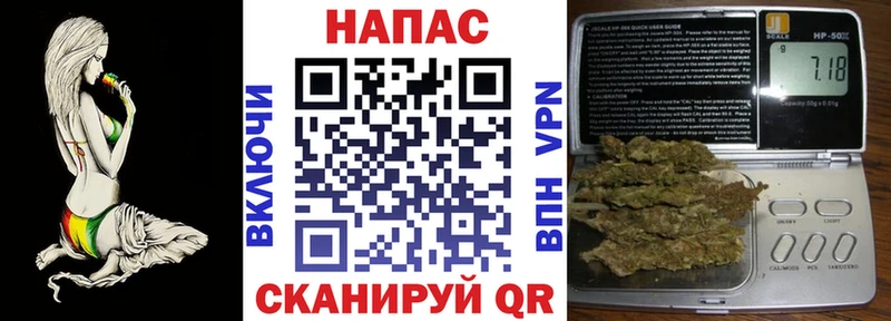Шишки марихуана сатива  Сысерть 